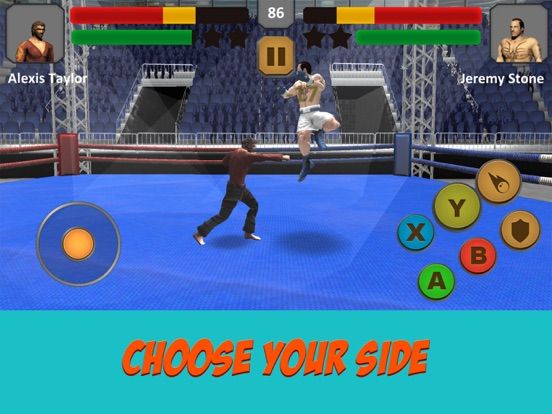 Boxing vs Kung Fu Fighting Sim App Screenshot