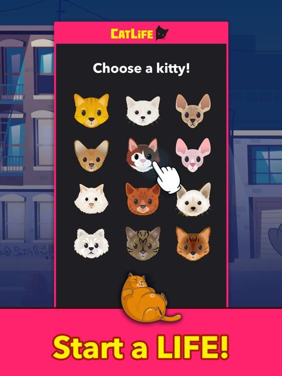 CatLife game screenshot