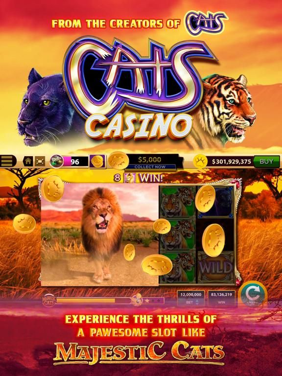 CATS Casino game screenshot
