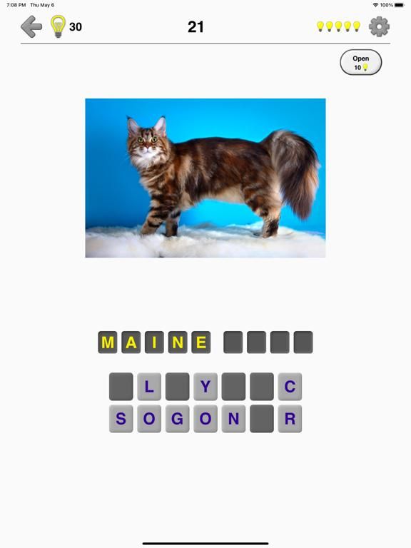 Cats Quiz game screenshot