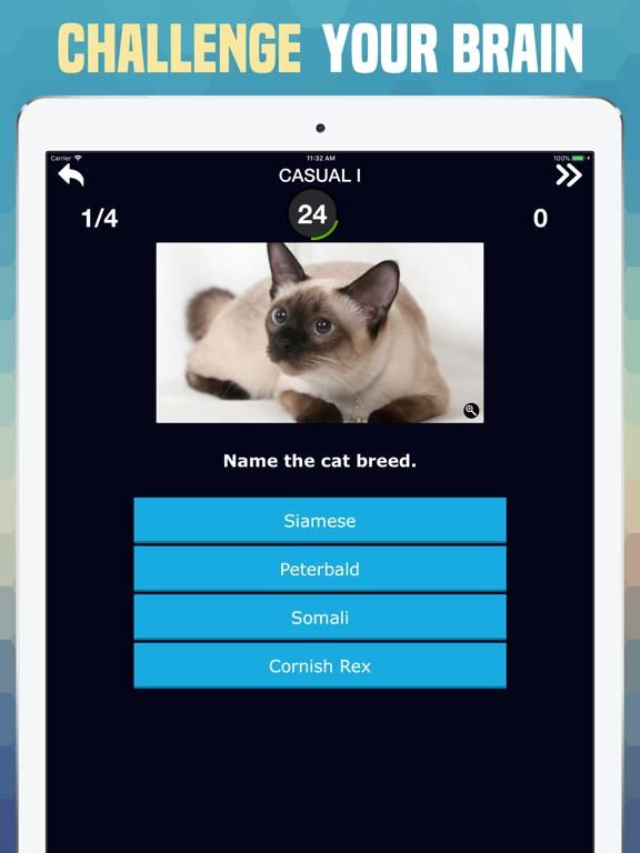 Cats Trivia game screenshot