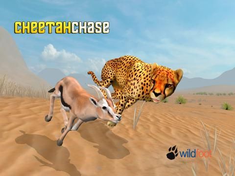 Cheetah Chase game screenshot