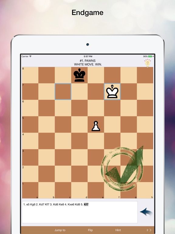 Chess Tricks. Endgame game screenshot