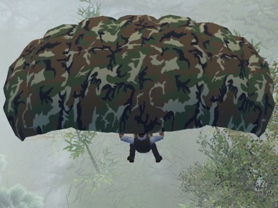 Commando Behind EnemyLines Sniper Combat Blackouts game screenshot