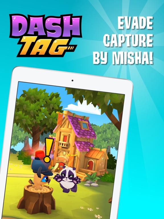 Dash Tag game screenshot