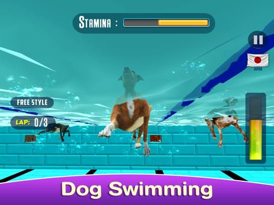 Dog Swimming Race game screenshot