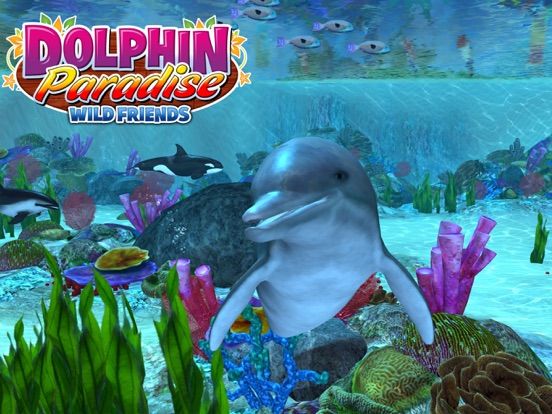 Dolphin Paradise: Wild Friends game screenshot
