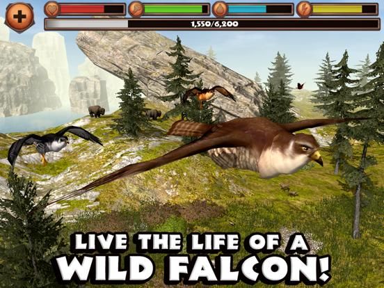 Falcon Simulator game screenshot