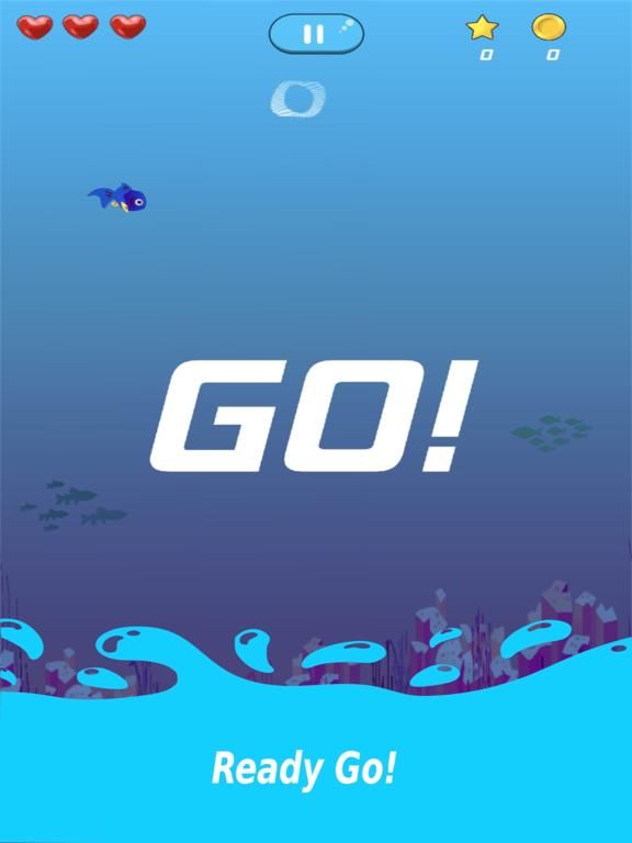 Fishy Run App Screenshot