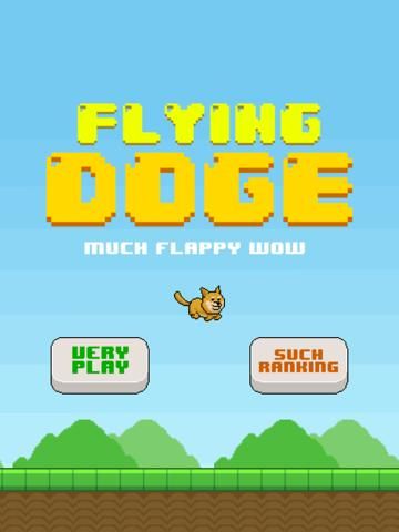 Flying doge: wow game screenshot