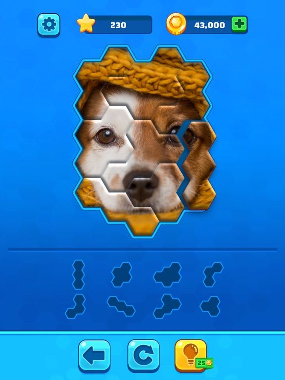 Hexa Jigsaw Puzzle™ App Screenshot