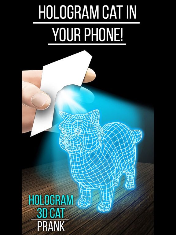 Hologram 3D Cat Prank game screenshot