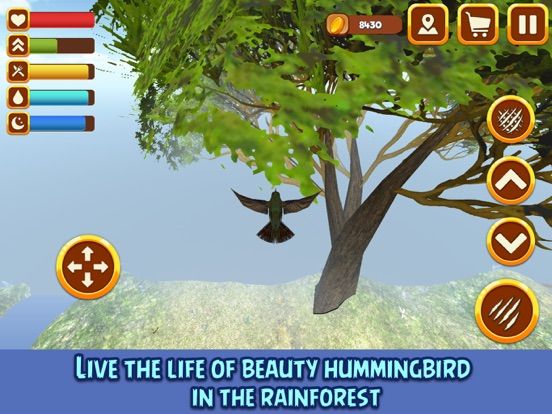 Hummingbird Simulator 3D: Bird Life game screenshot