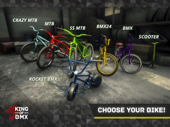King Of BMX game screenshot