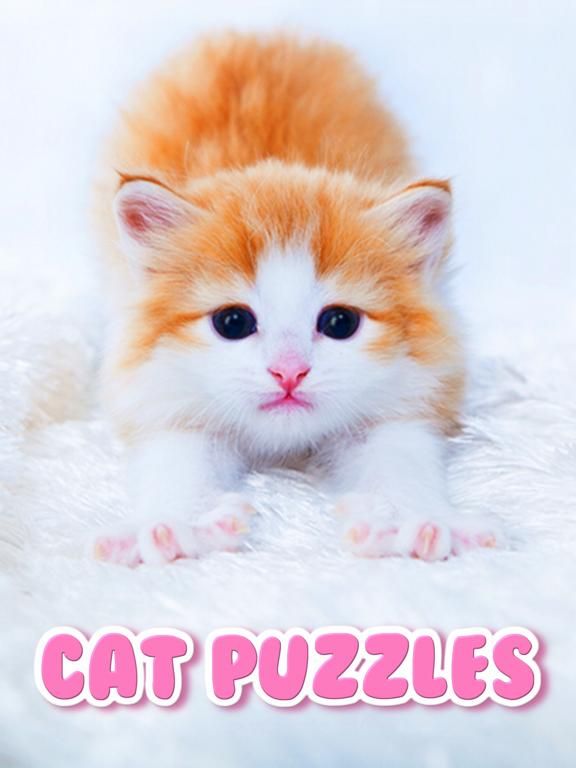 Kitten Kitty Cat Puzzles for Girls who love educational and learning jigsaw puzzle games for kids and toddlers game screenshot