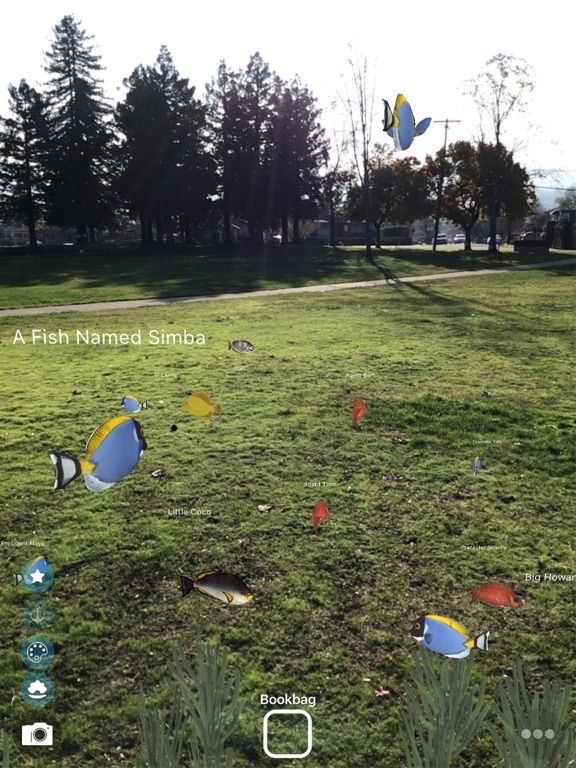 Magic Fish AR game screenshot