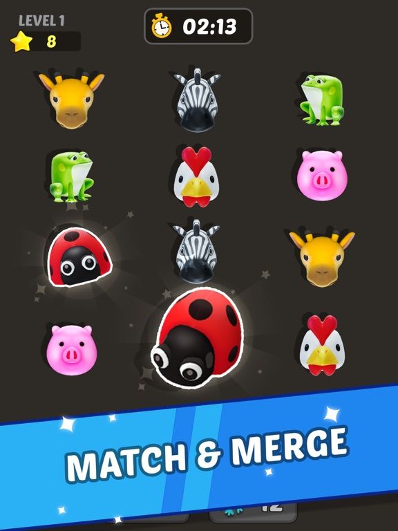 Matching Master 3D App Screenshot