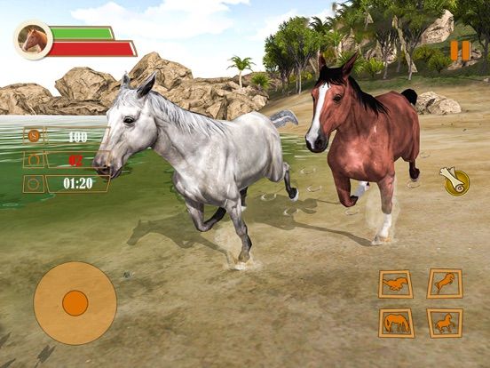 My Pet Horse Game Simulator App Screenshot