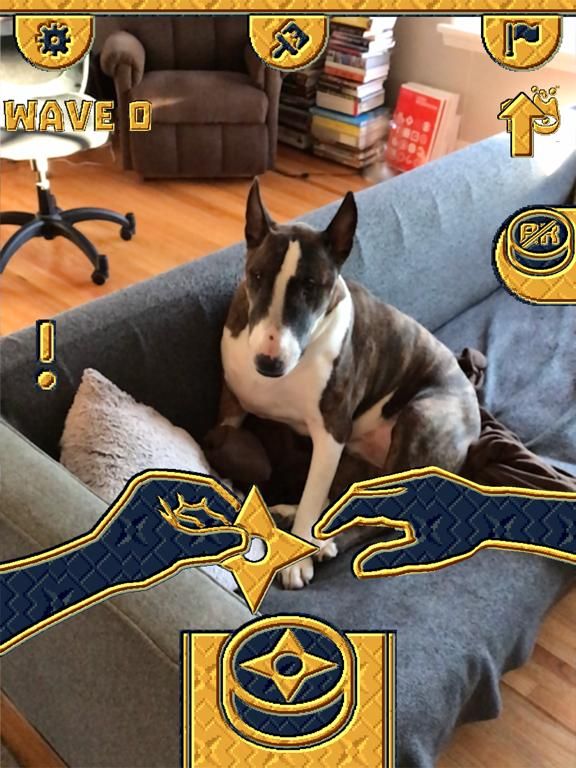 Ninja Attack! App Screenshot