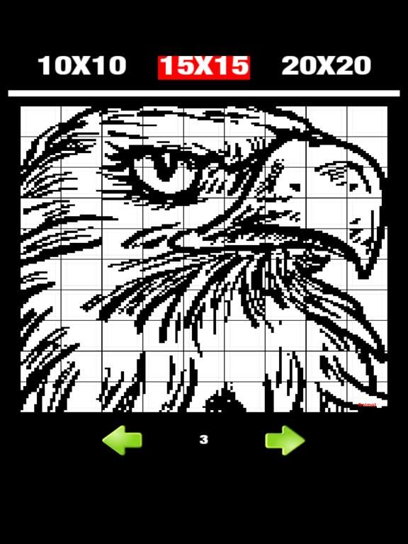 Nonogram 9 (Picross Logic) App Screenshot