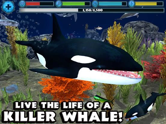 Orca Simulator game screenshot