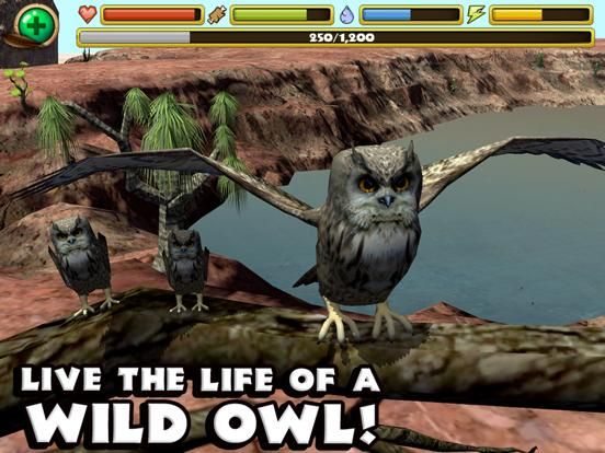 Owl Simulator game screenshot