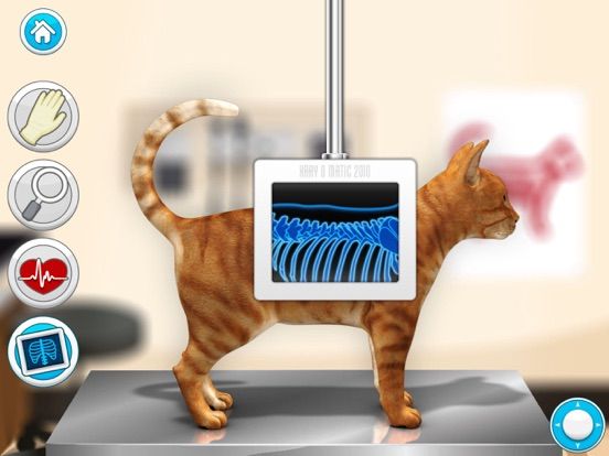 Pet Vet Doctor Cats : A Kids Story Game game screenshot