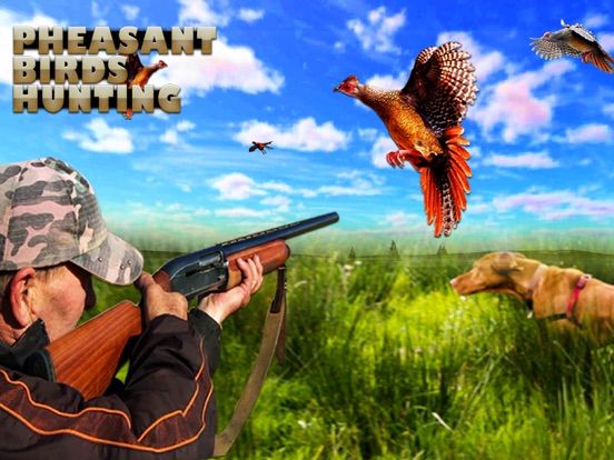 Pheasant Bird Hunting 3d App Screenshot