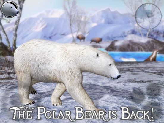 Polar Bear Simulator 2 App Screenshot