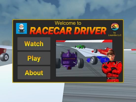 Racecar Driver game screenshot