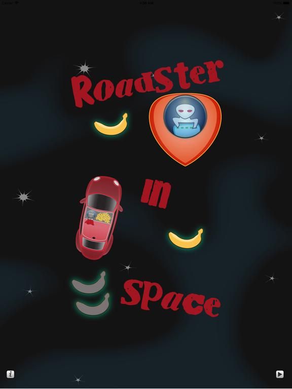 Roadster In Space game screenshot