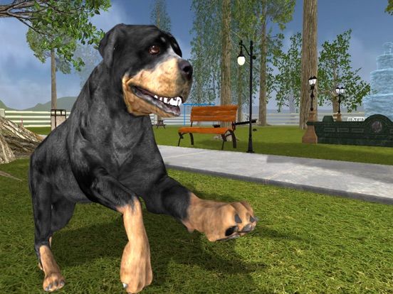 Rottweiler Dog Life Simulator game screenshot