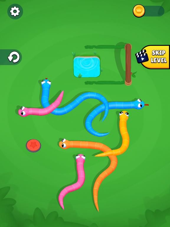 Snake Knot: Sort Puzzle Game game screenshot