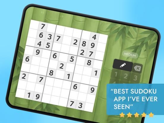 Sudoku Plus game screenshot