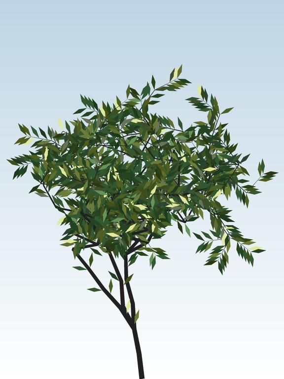 TreeSim App Screenshot