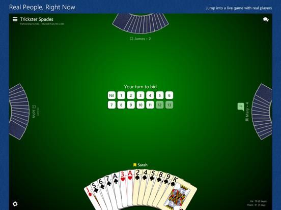 Trickster Spades game screenshot