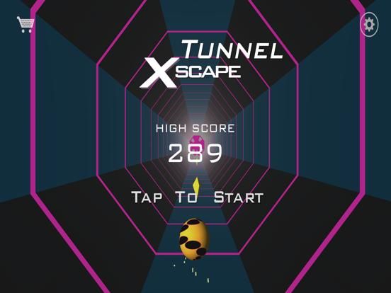 Tunnel Xscape game screenshot