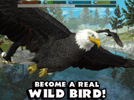 Ultimate Bird Simulator game screenshot