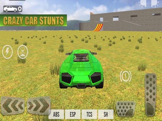 Ultimate Car Stunts game screenshot