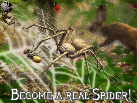 Ultimate Spider Simulator 2 App Screenshot