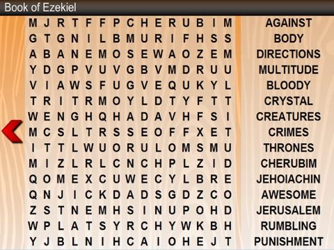 Word Search (Bible) game screenshot