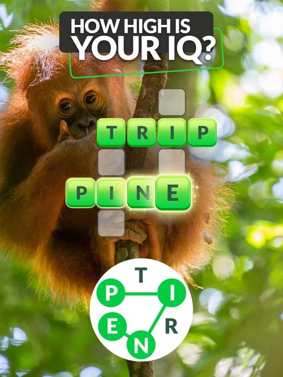 Words and Animals game screenshot